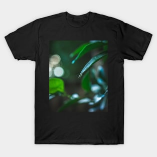 Rainy Days T-Shirt